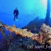 numidia_bro_b_h_0212_egy0572.jpg