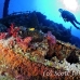 numidia_bro_b_h_0235_egy0595.jpg