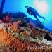 numidia_bro_b_h_0240_egy0600.jpg
