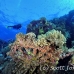 numidia_bro_b_h_0279_egy0642.jpg