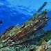 numidia_bro_b_h_0298_egy0662.jpg