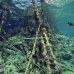 pier_brother_big_bro_b_v_0074_egy0170.jpg