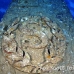 salem_express_sal_h_0108_egy0967.jpg