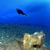 salem_express_sal_v_0011_egy0869.jpg